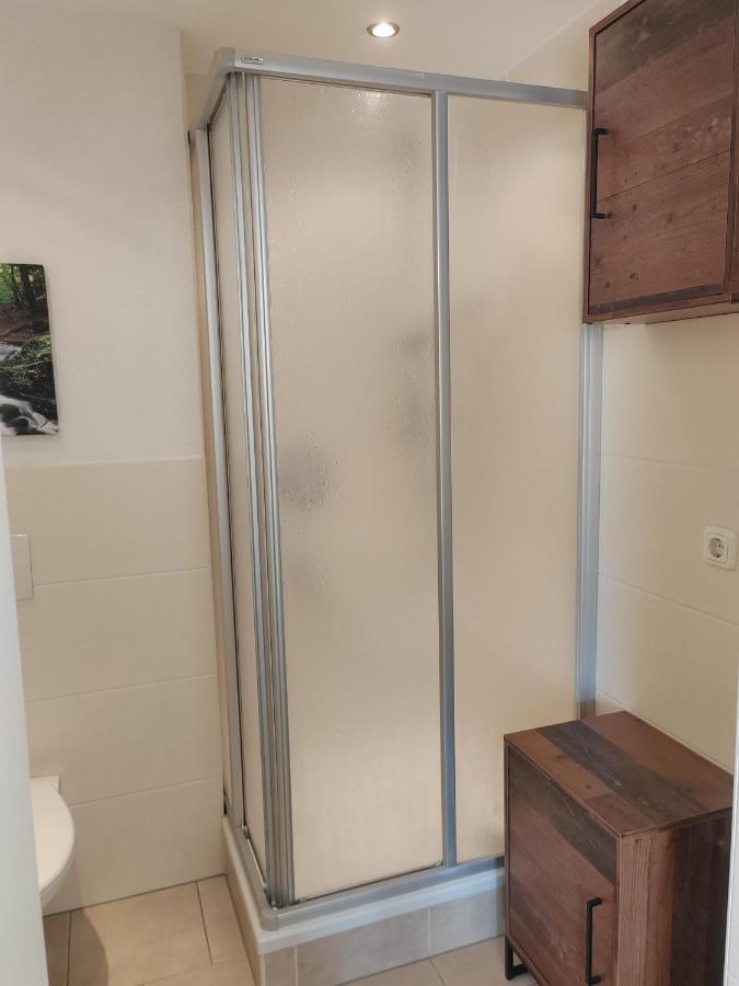 Ferienwohnung Elbtraum Πίρνα Εξωτερικό φωτογραφία